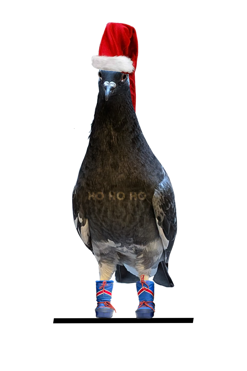 The new image that appears