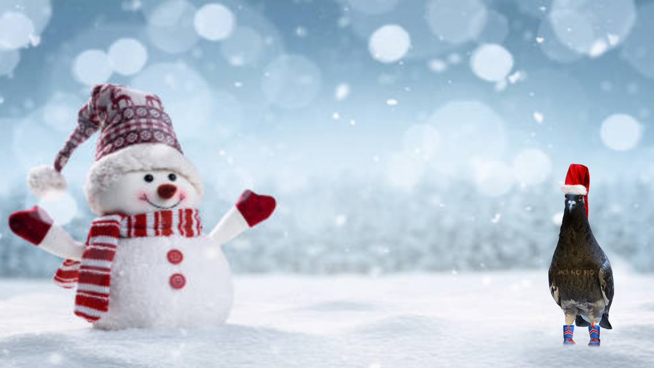 The new image that appears